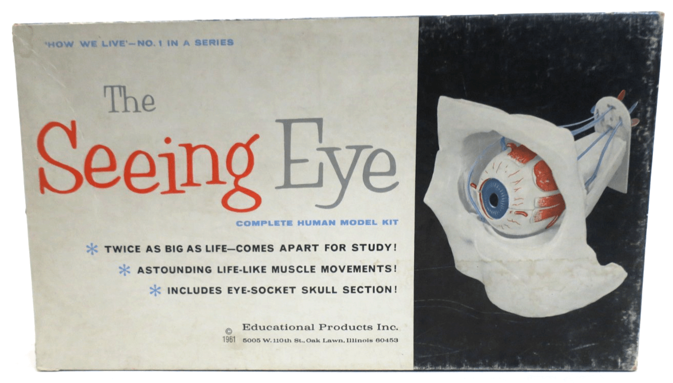 Educational Products The Seeing Eye Model Kit 3100 - WISE GUYS HOBBIES LLC