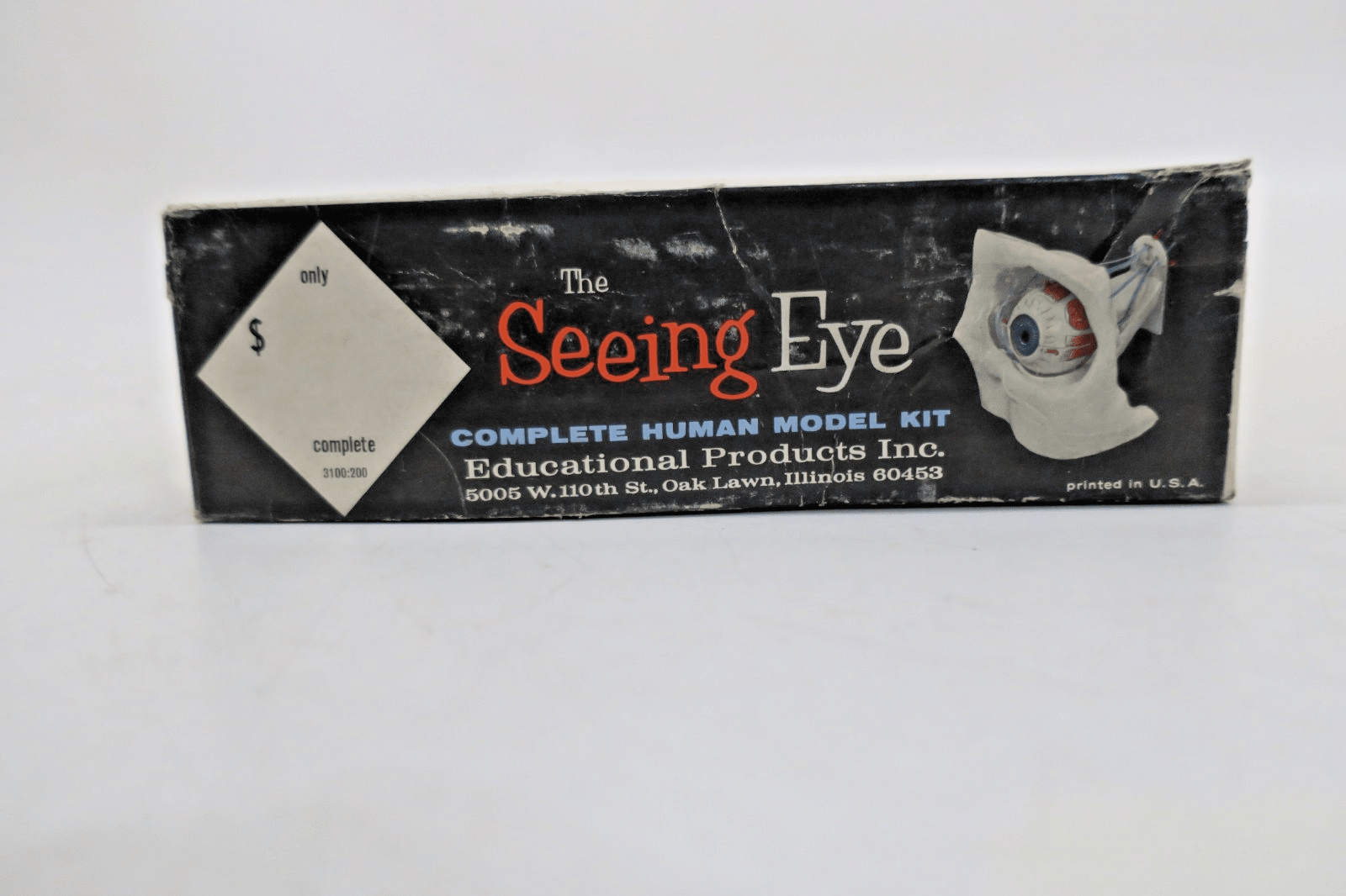 Educational Products The Seeing Eye Model Kit 3100 - WISE GUYS HOBBIES LLC