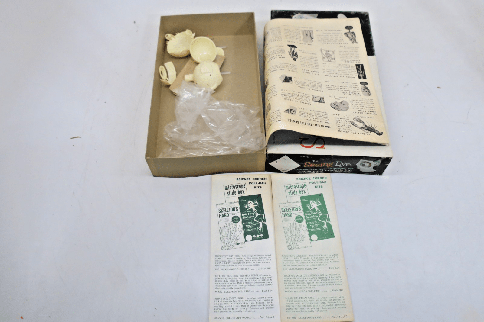 Educational Products The Seeing Eye Model Kit 3100 - WISE GUYS HOBBIES LLC