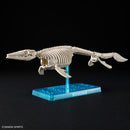 Plannosaurus