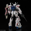 RG 1/144