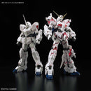 RG 1/144