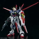 RG 1/144