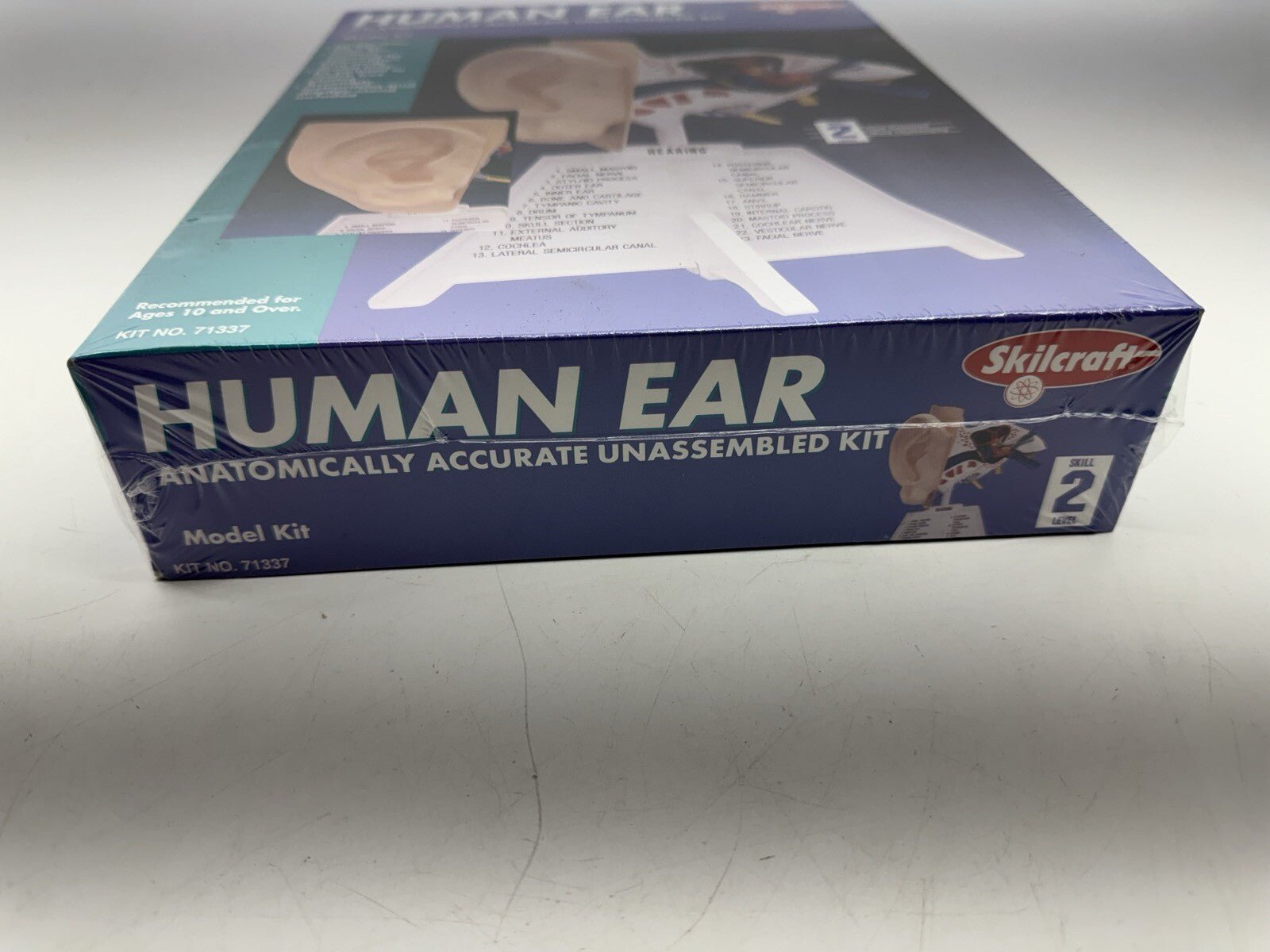 SKILCRAFT Human Ear MODEL KIT LEVEL 2 Made In USA 2004 Version Kit  71337 - WISE GUYS HOBBIES LLC