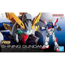 RG 1/144