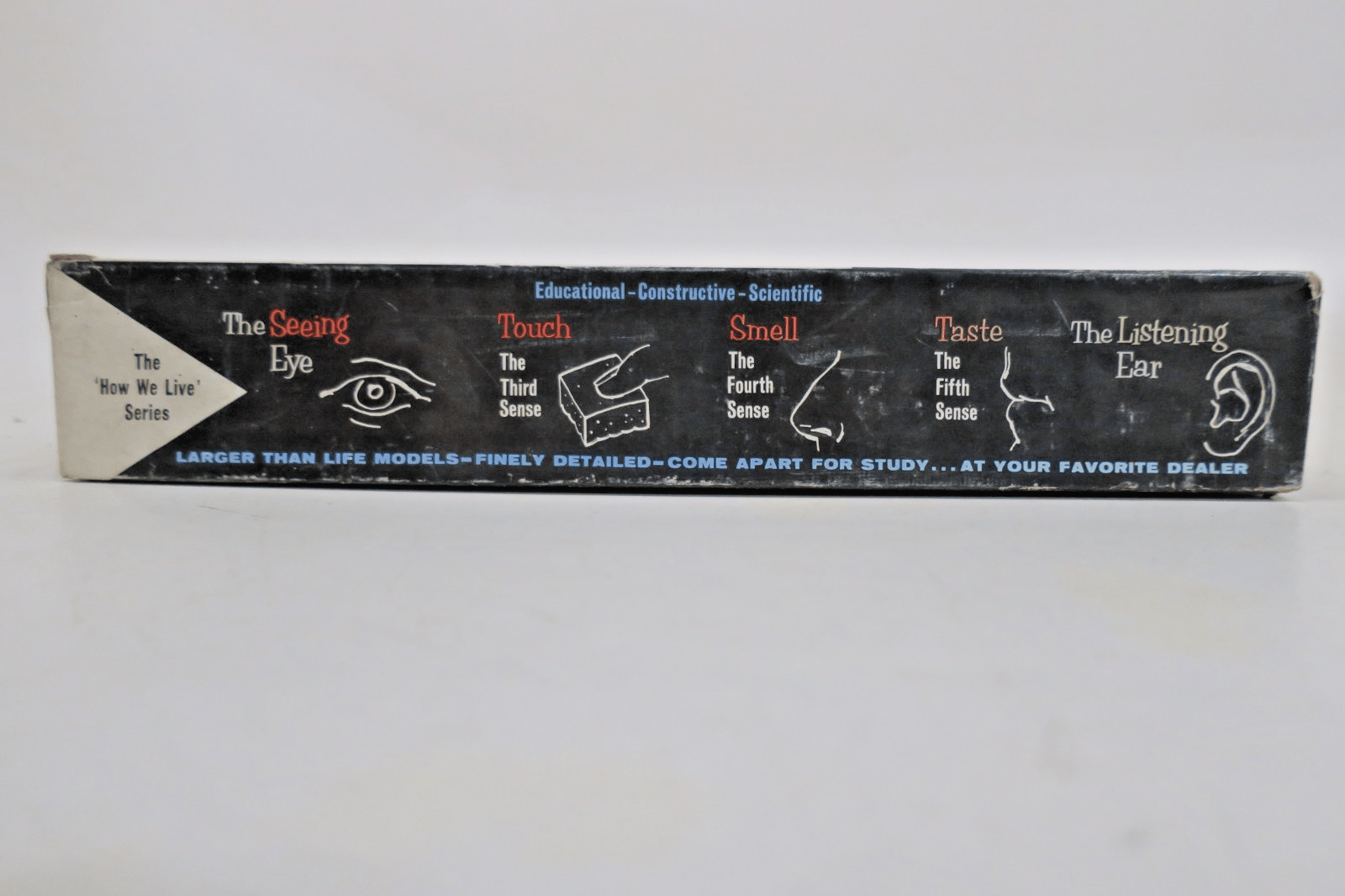 Educational Products The Seeing Eye Model Kit 3100 - WISE GUYS HOBBIES LLC