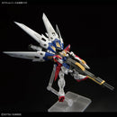 RG 1/144