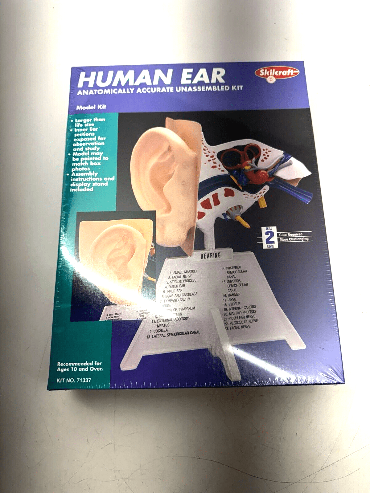 SKILCRAFT Human Ear MODEL KIT LEVEL 2 Made In USA 2004 Version Kit  71337 - WISE GUYS HOBBIES LLC