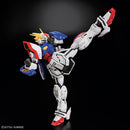 RG 1/144