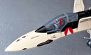Hasegawa Macross Plus 1/48 YF - 19 Excalibur Model Kit - WISE GUYS HOBBIES LLC